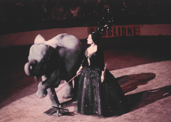 Gala L ´Union des Artistes (1965, França) angariação de fundos para a Casa do Artista francesa