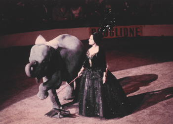 Gala L ´Union des Artistes (1965, França) angariação de fundos para a Casa do Artista francesa